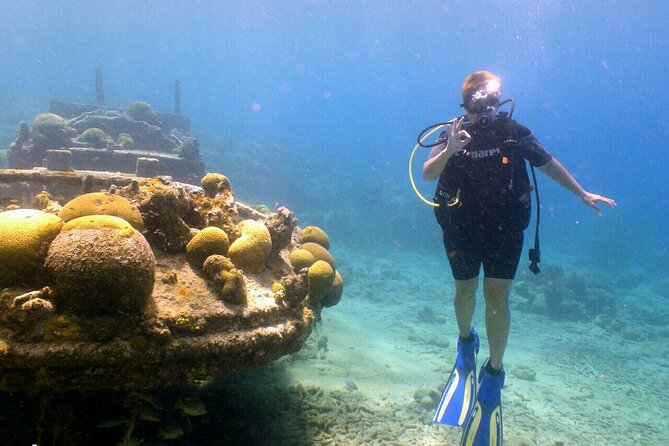 Discover Diving in Curaçao with Transportation Included - Cancellations and weather
