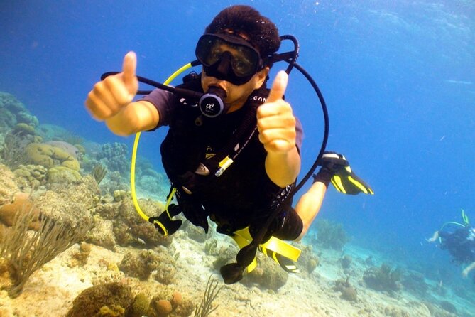 Discover Diving in Curaçao with Transportation Included - From confined water to the open sea