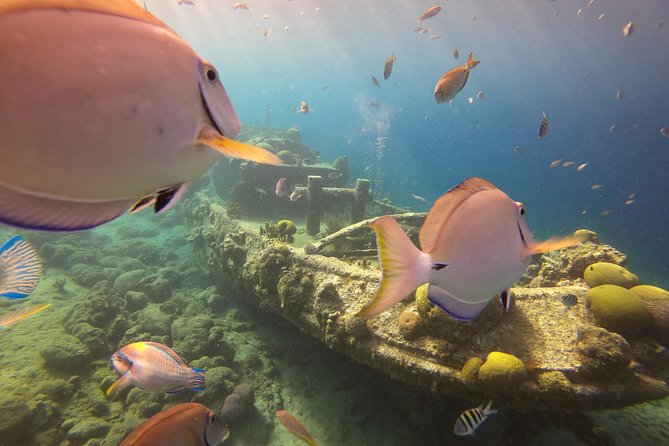 Discover Scuba Dive in Curacao - How much value do you get for $125?