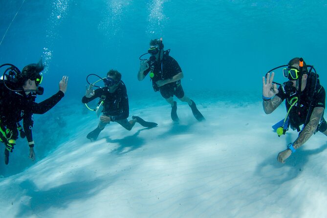 Discover Scuba Dive in Curacao - Who will enjoy this most