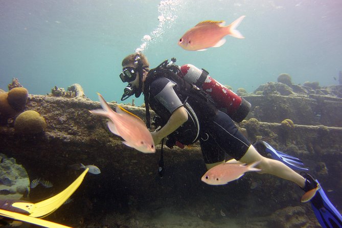 Discover Scuba Diving in Curacao - What happens when you arrive at 8:15 am
