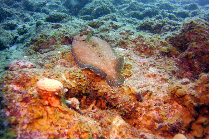 Discover Scuba Diving in Curacao - Small groups make a real difference