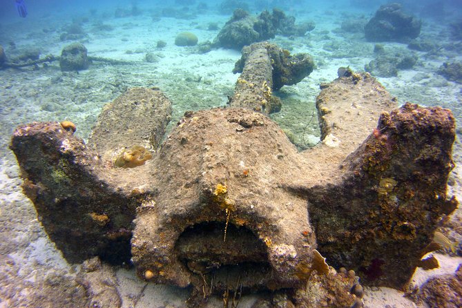 Discover Scuba Diving in Curacao - Is $109 a fair price?