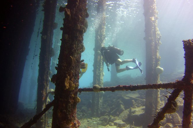 Discover Scuba Diving in Curacao - Practical details worth knowing before you book