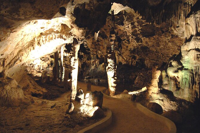 Exclusive 4 -Hour Private nature Tour: West Curacao's Best - Why this private West Curaçao tour works