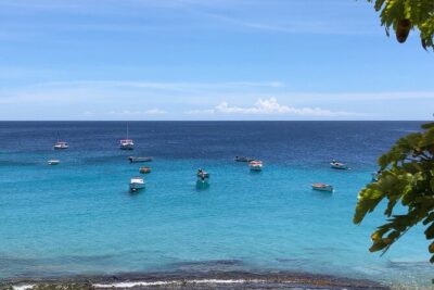 Exclusive 4 -Hour Private nature Tour: West Curacao’s Best