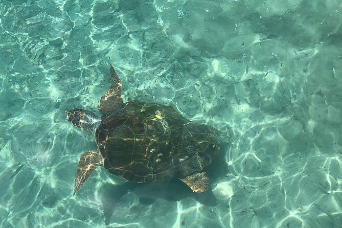 Exclusive 4 -Hour Private nature Tour: West Curacao's Best - Grote Knip: the beach postcard stop