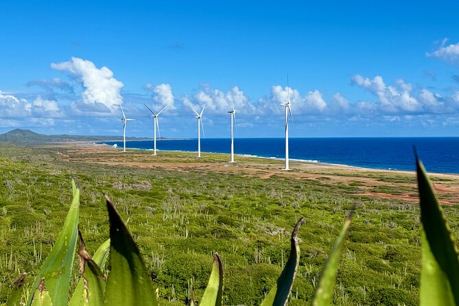 Exclusive 4 -Hour Private nature Tour: West Curacao's Best - What is included, and what you should budget for