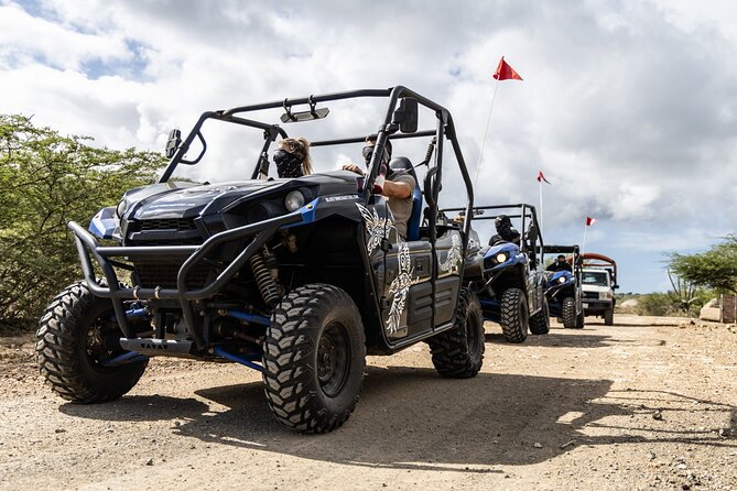 Go West ATV Tour in Curacao - Looking for flamingos at the Zoutpannen