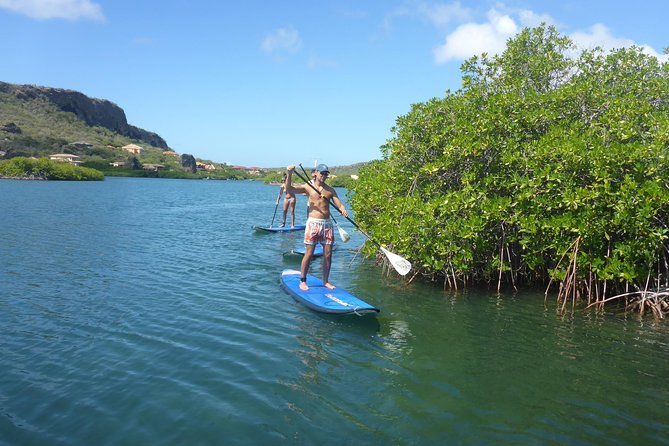 Guided paddleboarding (SUP) mangrove ECO tour for beginners - Through the mangroves at an easy pace