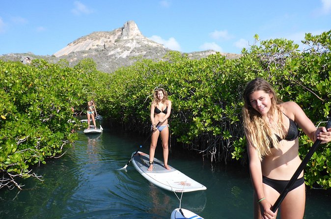 Guided paddleboarding (SUP) mangrove ECO tour for beginners - What the $65 price includes