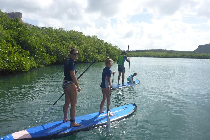 Guided paddleboarding (SUP) mangrove ECO tour for beginners - Heat, sun, and practical preparation