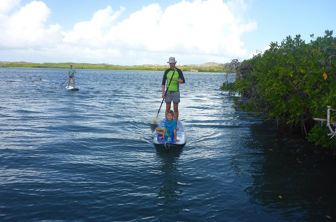 Guided paddleboarding (SUP) mangrove ECO tour for beginners - Service, flexibility, and cancellation