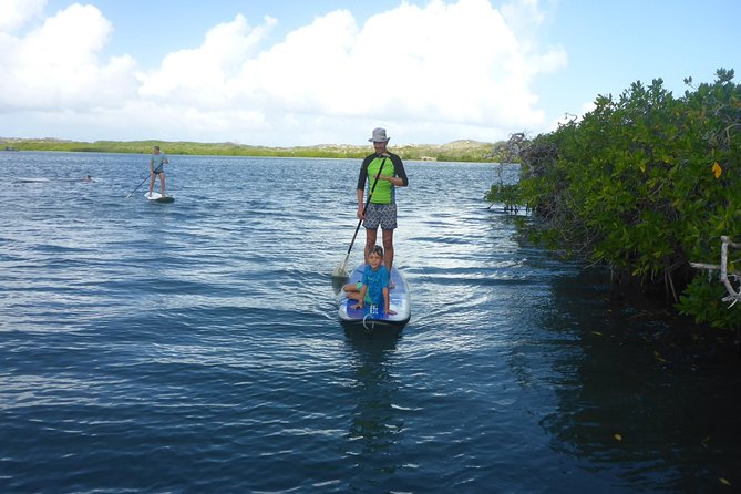 Guided paddleboarding (SUP) mangrove ECO tour for beginners - My call: book it if you want nature with a workout