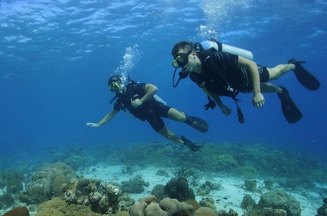 Guided Shore Dive for Certified Divers with Scubaçao (1 tank) - What the underwater portion feels like