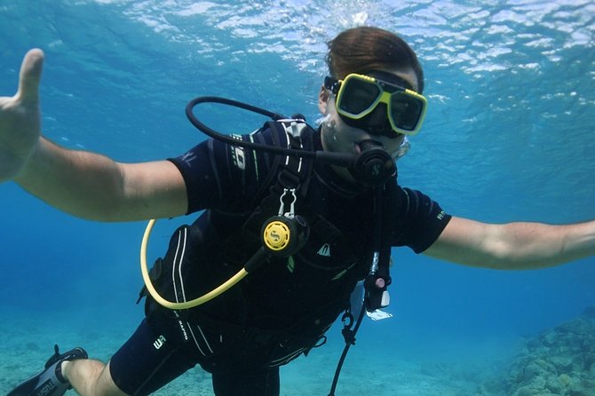 Guided Shore Dive for Certified Divers with Scubaçao (1 tank) - What is included for $110