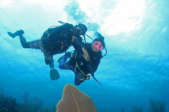 Guided Shore Dive for Certified Divers with Scubaçao (1 tank) - Cameras, marine life, and small extras