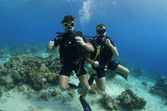 Guided Shore Dive for Certified Divers with Scubaçao (2 tank) - Who will enjoy this outing most?