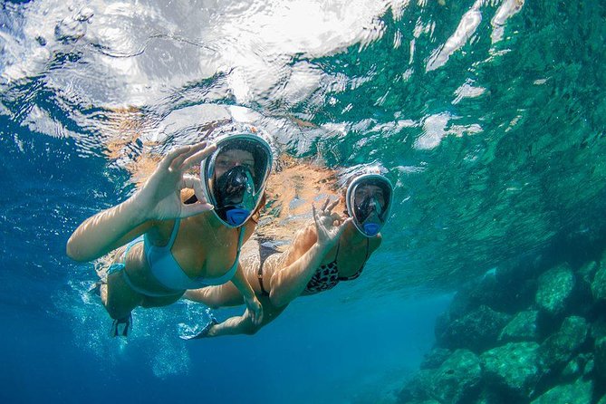 Guided Snorkel Tour at the Best Reef from shore on Curacao - Blue Bay Beach - The 4:00 pm Start and One-Hour Plan