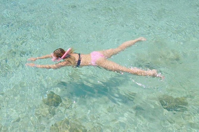 Guided Snorkel Tour at the Best Reef from shore on Curacao - Blue Bay Beach - Reef Life Without a Boat Excursion