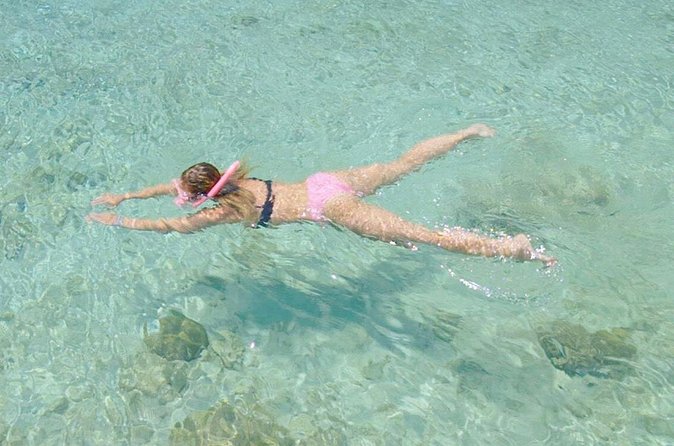 Guided Snorkel Tour at the Best Reef from shore on Curacao - Blue Bay Beach - My Verdict on This One-Hour Reef Lesson