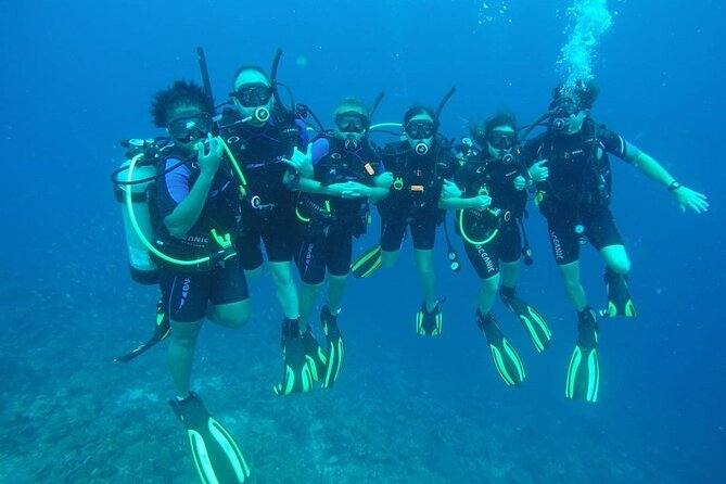Half Day Diving adventure with Transportation Included - Two Curacao sites in one half-day