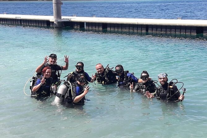 Half Day Diving adventure with Transportation Included - Warm water, reef life, and wrecks