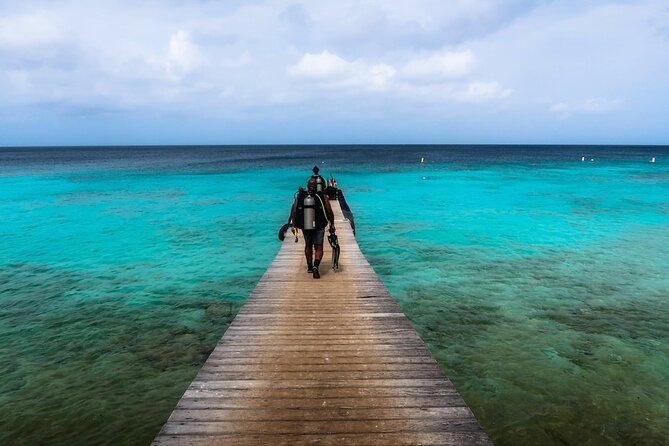 Half Day Diving adventure with Transportation Included - A close look at the schedule