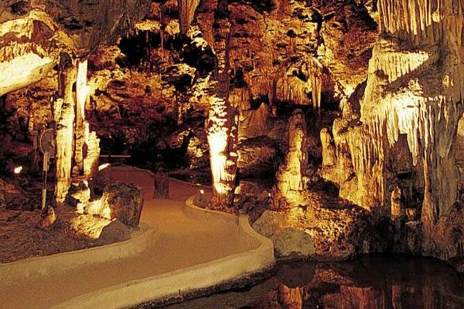 Half Day Hato Cave, Flamingo & Beach Tour - Key points to know before booking