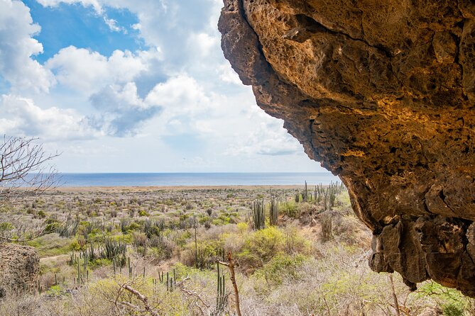Half Day Off-Road & Snorkel Safari - Weather, cancellations, and planning your morning