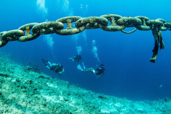 Introduction Shore Dive with Scubaçao (1 dive) - A gentle introduction to Curaçao’s underwater world
