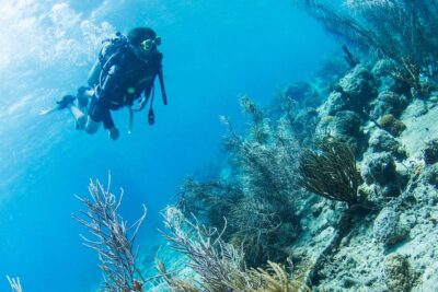 Introduction Shore Dive with Scubaçao (1 dive)