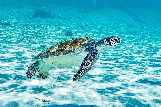 Island Treasures: Caves, Turtles and Turquoise Beach Break - The bus ride, pickup, and group size