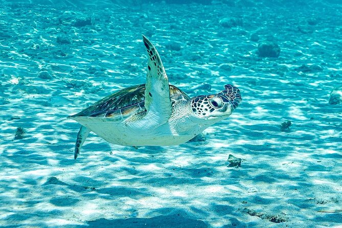 Island Treasures: Caves, Turtles and Turquoise Beach Break - What the $85 price really covers