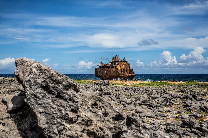 Klein Curacao Day Trip with Premium Open Bar and BBQ-Lunch - Snorkeling brings fish, turtles, and a few limits
