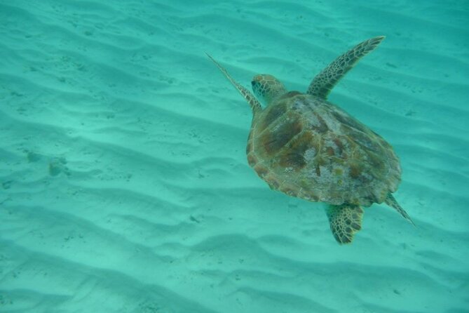 Klein Curacao Daytrip - All Inclusive Full Day Boat Tour - The crew, group size, and pace