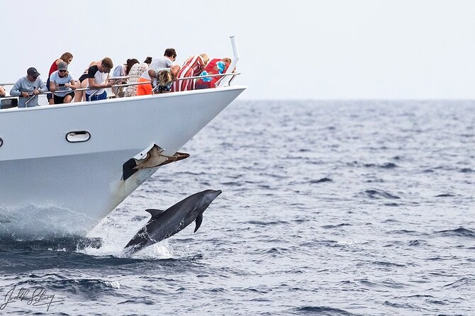 Klein Curacao Superyacht and Beach house - Who will enjoy this day most?