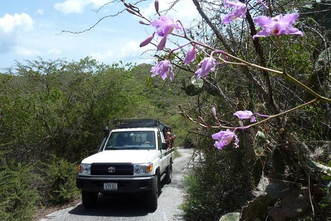 National Park Jeep Safari - Crossing the island with a local guide