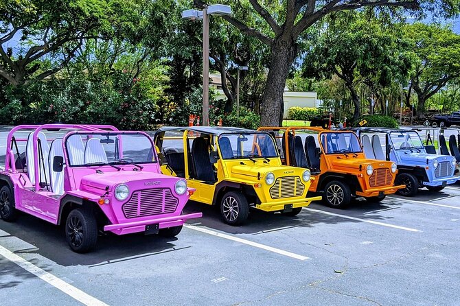 <strong><em> New Product </em></strong> Moke My Day Adventure Tour free WiFi – Key points to know before booking’ /></p>
<ul>
<li><strong>Open-air Moke driving:</strong> You get a stylish, easy-to-drive vehicle designed for sightseeing in the sun and sea air.</li>
<li><strong>Willemstad and west-coast beaches:</strong> The route can combine city landmarks with Cas Abao, Kenepa Grandi, and Playa Piskadó.</li>
<li><strong>Monte may guide your outing:</strong> One detailed experience had Monte driving and showing the group around the city, so confirm if your booking is self-drive or guided.</li>
<li><strong>Good for cruise port calls:</strong> The listed duration is about 3 to 5 hours, which can fit a limited island stop if pickup runs on time.</li>
<li><strong>$80 per person:</strong> The value depends on the number of people sharing the Moke and on receiving the vehicle type you booked.</li>
<li><strong>Free cancellation until 24 hours before:</strong> Changes or cancellations inside the final 24 hours are not refundable.</li>
</ul>
<h2>A breezy way to connect Curaçao’s highlights</h2>
<p><img width="670" height="446" decoding="async" src=