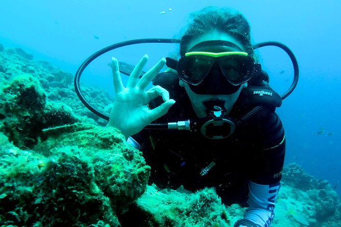 Open Water Diver Course at Blue Bay Dive in Curacao - Key points at a glance