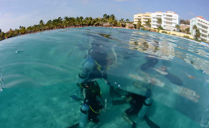 Open Water Diver Course at Blue Bay Dive in Curacao - Who should book this course?