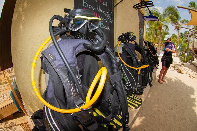 Open Water Diver Course at Blue Bay Dive in Curacao - Confined-water practice in the protected bay