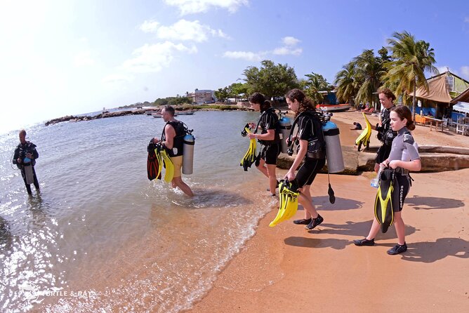 PADI Discover Scuba Dive - Why the Dive Bus Reef Works for a First Underwater Session
