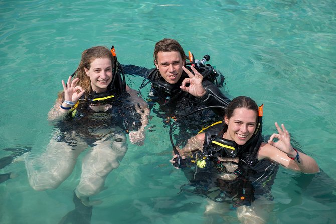 PADI Discover Scuba Dive at 5 Star Dive Center Blue Bay Dive, Curacao - Is $125 a fair price?