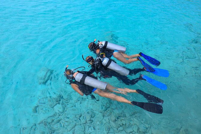PADI Discover Scuba Dive at Coral Divers Curacao - Key points to know before booking