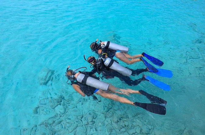 PADI Discover Scuba Dive at Coral Divers Curacao - Who should book this Curaçao experience