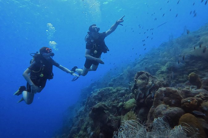 PADI Open Water Course in 3 days - The instructors and the tone of the course