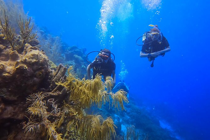 PADI Open Water Course in 3 days - What the $495 price really buys you