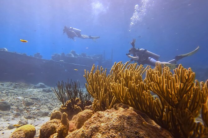PADI Open Water Course in 3 days - Who should choose this Curacao course