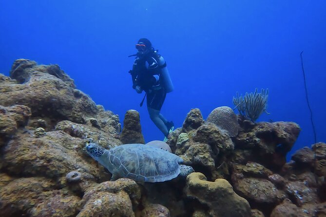 PADI Open Water Course in 3 days - Finish the theory before you reach Curacao